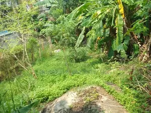 Land for Sale In Makuluduwa, Piliyandala
