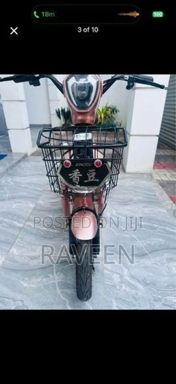 Fengfeng Bird E-Bike 2022
