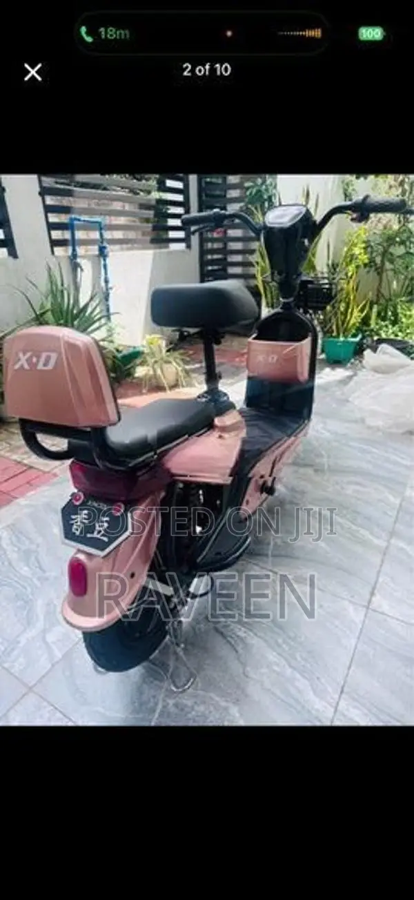 Fengfeng Bird E-Bike 2022