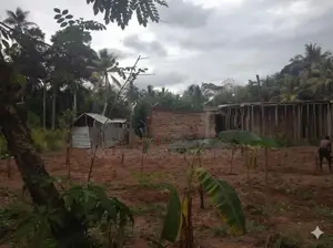 Land for Sale in Gampaha