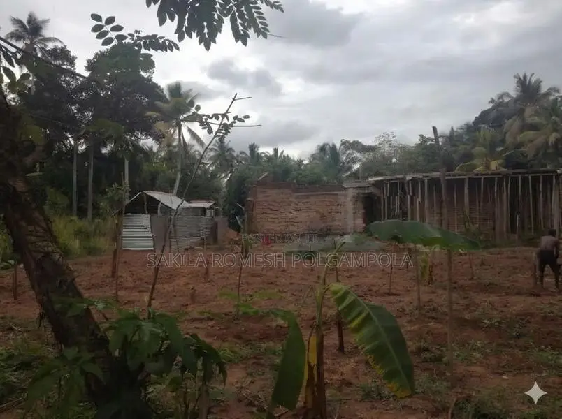 Land for Sale in Gampaha