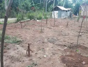 Land for Sale in Gampaha