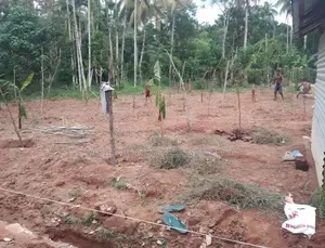 Land for Sale in Gampaha