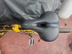 NGC FS333 Foldable Bicycle