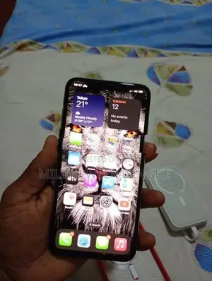 Apple iPhone XS Max (Used)