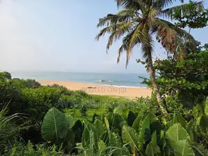 259 Perches Beachfront Land for Sale in Balapitiya