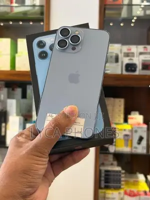 Apple iPhone 13 Pro Max 128GB (Used)