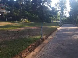 කඩවත ඉඩමක් විකිණීමට
