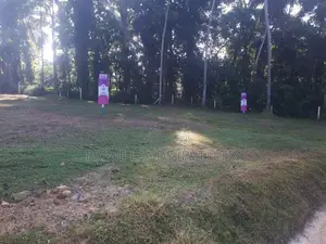 කඩවත ඉඩමක් විකිණීමට
