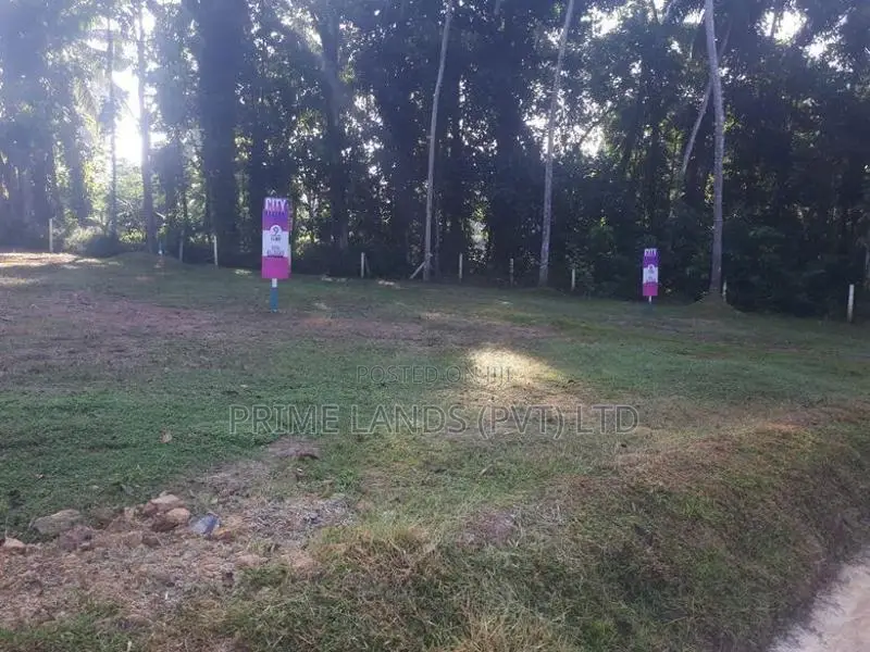 කඩවත ඉඩමක් විකිණීමට