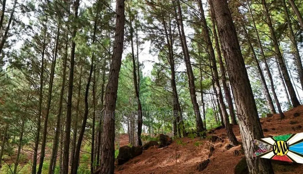 Land for sale in Kithalella