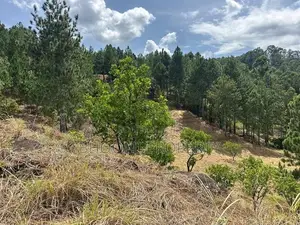 Land for sale in Kithalella