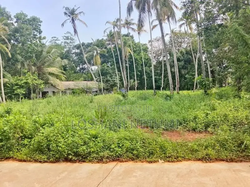Land for Sale in Minuwangoda
