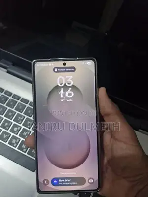Samsung Galaxy S25 Ultra (Used)