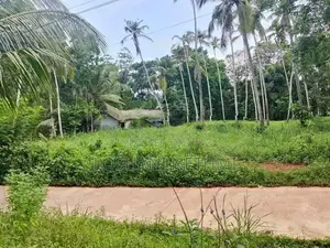 Land for Sale in Minuwangoda