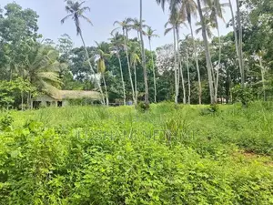 Land for Sale in Minuwangoda