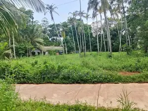 Land for Sale in Minuwangoda