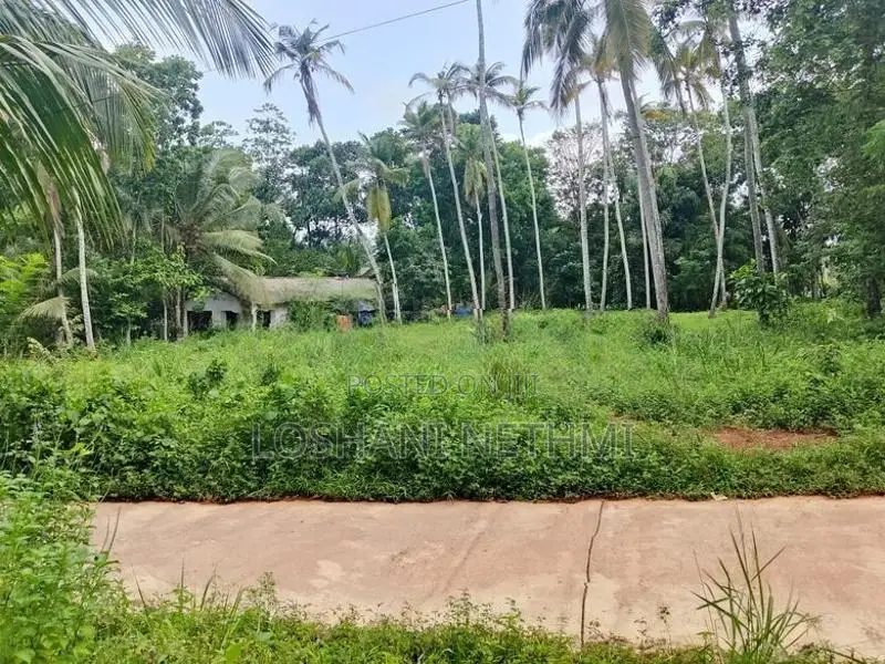 Land for Sale in Minuwangoda