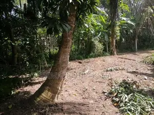 Land for Sale Meegoda