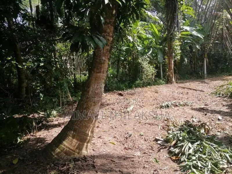 Land for Sale Meegoda