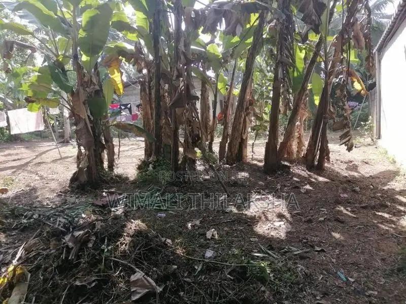 Land for Sale Meegoda