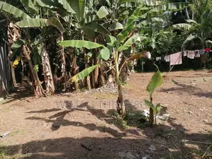 Land for Sale Meegoda