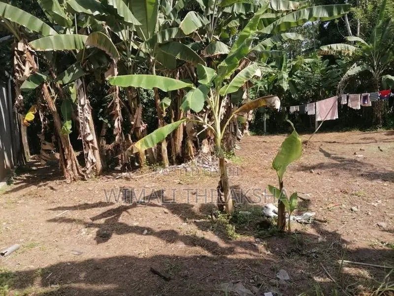 Land for Sale Meegoda