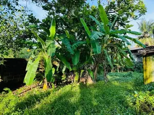 Land for sale Angoda