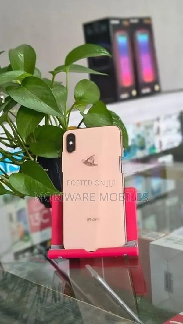 Apple iPhone XS 256GB (Used)