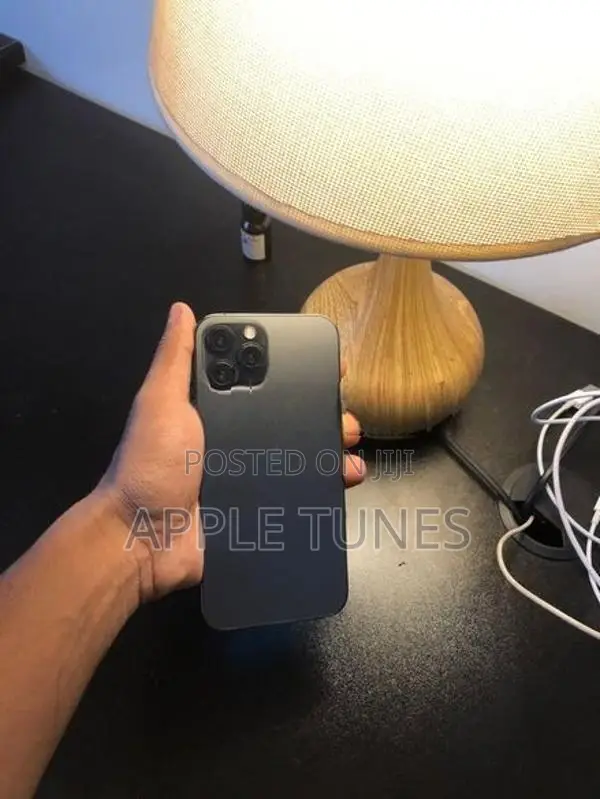 Apple iPhone 12 Pro Max 256GB (Used)