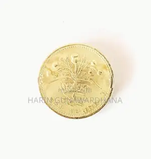 One Pound Old Coin