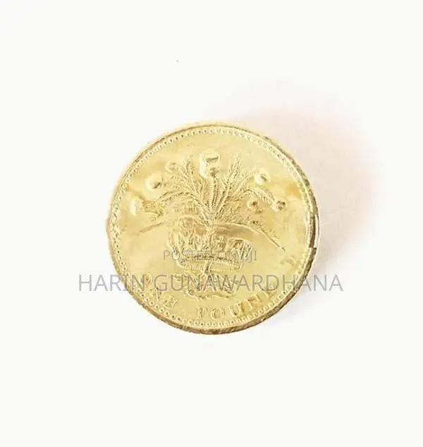 One Pound Old Coin