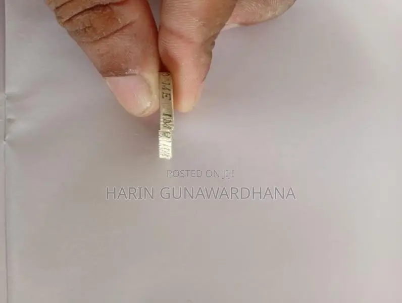 One Pound Old Coin