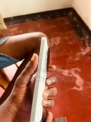 Vivo X 300 Pro (Used)