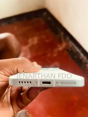 Vivo X 300 Pro (Used)