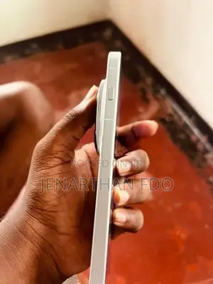 Vivo X 300 Pro (Used)