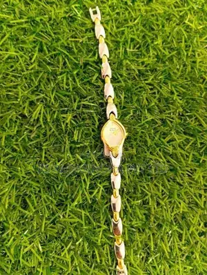 Titan Ladies Hand Watch