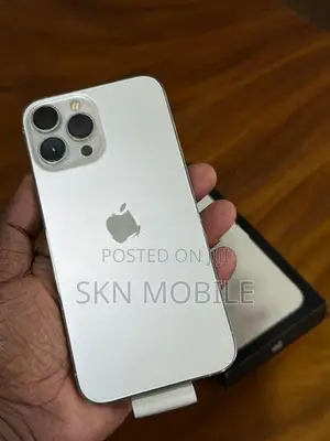 Apple iPhone 13 Pro Max 256GB (Used)