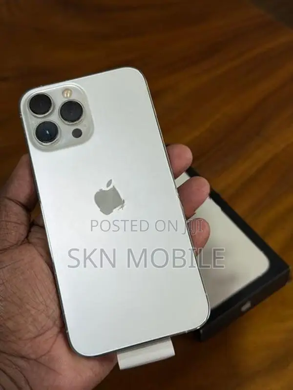 Apple iPhone 13 Pro Max 256GB (Used)