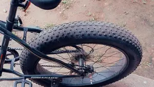 Big Tyre Bicycle