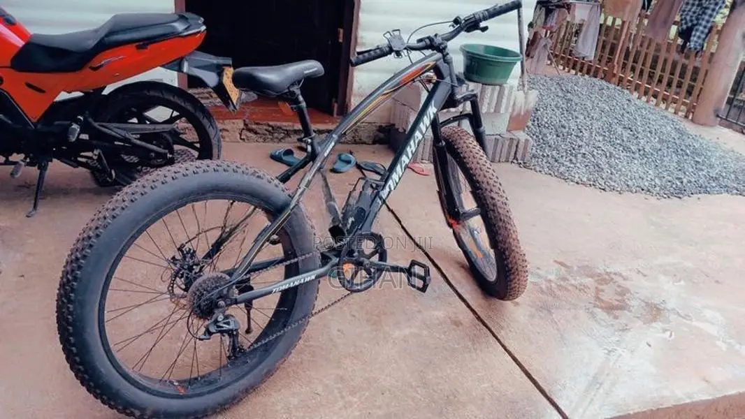 Big Tyre Bicycle