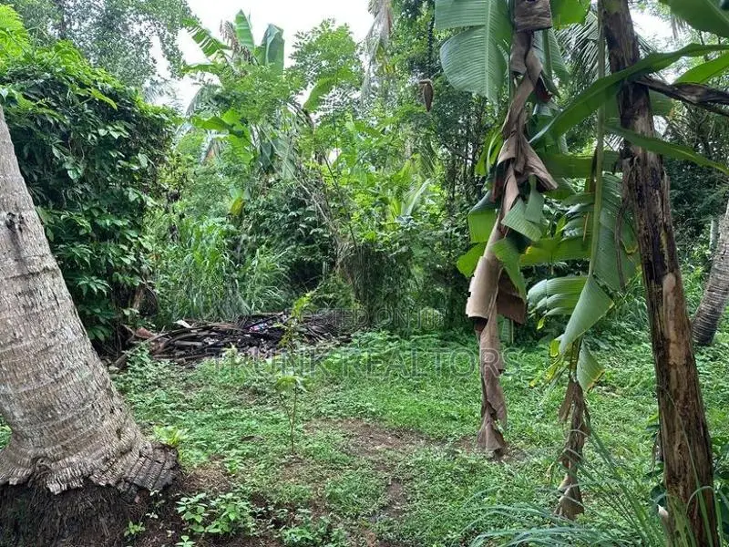 Malabe Bare Land For Sale (NK11260)