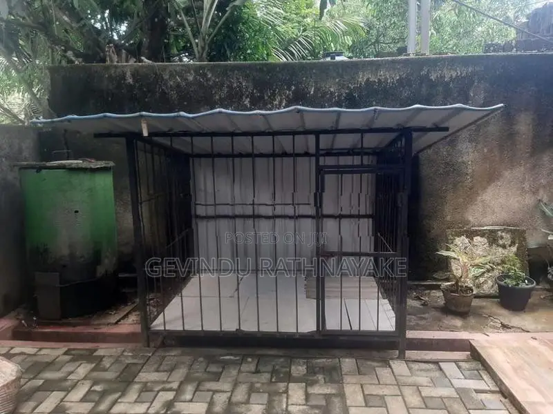 Dog Cage
