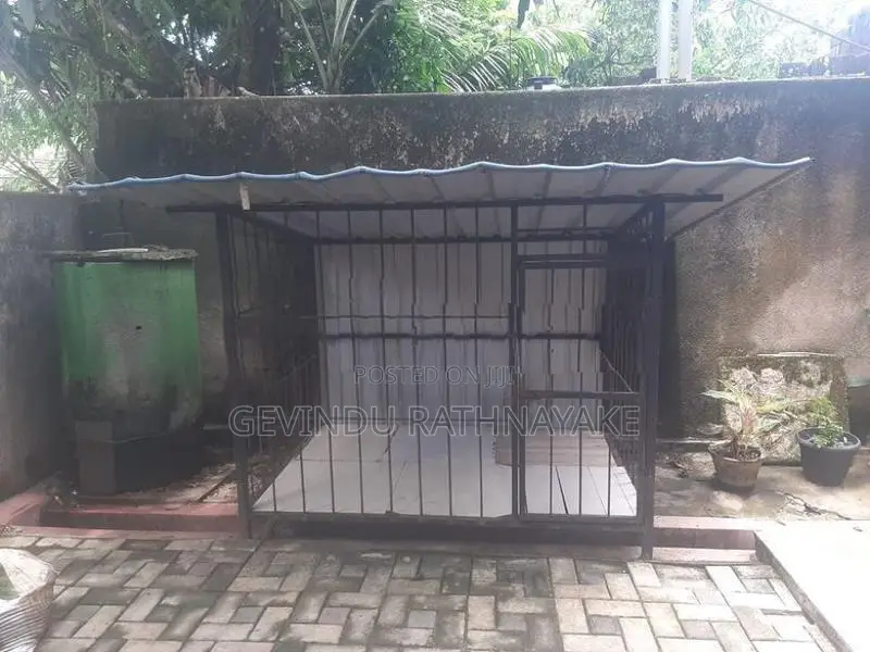 Dog Cage