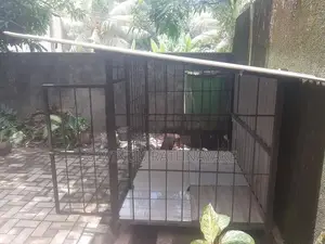 Dog Cage