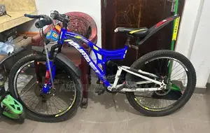Lumstar Bicycle