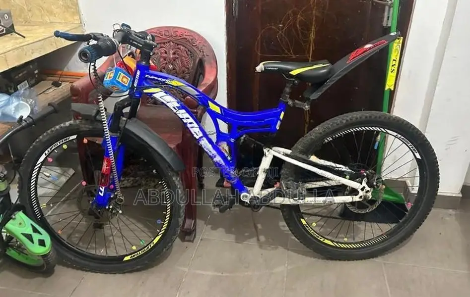 Lumstar Bicycle