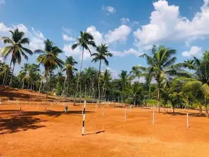 Valuable Land for Sale in Nittambuwa, Aththanagalla M 09