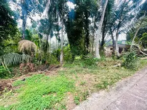 Prime Residential Land for Sale Near Thalawathugoda