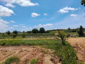 Land for Sale in Near by To Anuradhapura Nachchaduwa Road